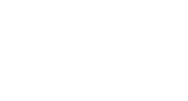 The 73's